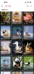 动物科普解说项目，撸创作者伙伴计划收益，保姆级实战教程-葛仙仙资源库