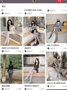 AI打造网红账号,一周收入超5位数,还能矩阵操做-葛仙仙资源库