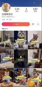 快手MT搬运技术,一比一搬运不剪辑,剧情可用,条条同框-葛仙仙资源库