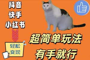 超简单玩法,有手就行,靠猫咪视频日入500+【揭秘】-葛仙仙资源库