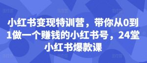 小红书变现特训营,带你从0到1做一个赚钱的小红书号,24堂小红书爆款课-葛仙仙资源库