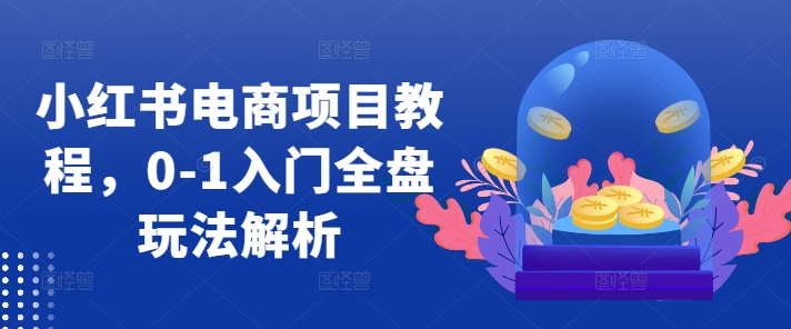 小红书电商项目教程，0-1入门全盘玩法解析-葛仙仙资源库