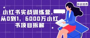 小红书实战训练营,从0到1,6000万小红书项目拆解-葛仙仙资源库