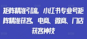 矩阵精准引流,小红书专业号矩阵精准获客,电商、微商、门店获客神技-葛仙仙资源库