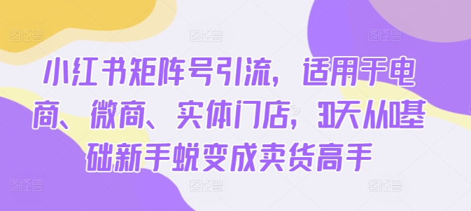 小红书矩阵号引流，适用于电商、微商、实体门店，30天从0基础新手蜕变成卖货高手-葛仙仙资源库