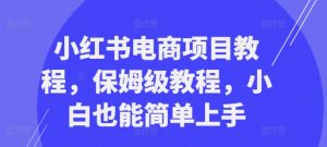 小红书电商项目教程,保姆级教程,小白也能简单上手-葛仙仙资源库