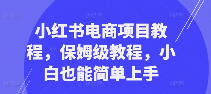 小红书电商项目教程，保姆级教程，小白也能简单上手-葛仙仙资源库