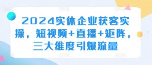 2024实体企业获客实操,短视频+直播+矩阵,三大维度引爆流量-葛仙仙资源库