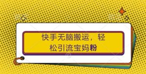 快手无脑搬运,轻松引流宝妈粉,纯小白轻松上手【揭秘】-葛仙仙资源库