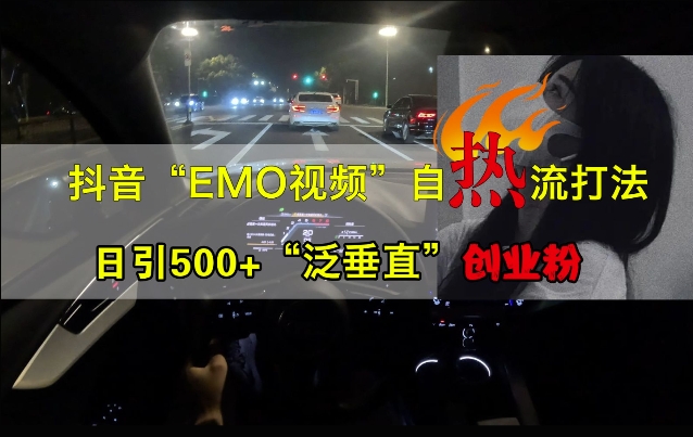 抖音EMO视频自热打法，日引500+“泛垂直”创业粉-葛仙仙资源库