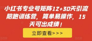 小红书专业号矩阵12+30天引流陪跑训练营,简单易操作,15天可出成绩!-葛仙仙资源库