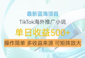 最新蓝海项目,利用tiktok海外推广小说赚钱佣金,简单易学,日入500+,可矩阵放大【揭秘】-葛仙仙资源库