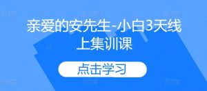 亲爱的安先生-小白3天线上集训课-葛仙仙资源库