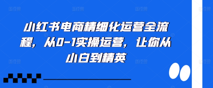 小红书电商精细化运营全流程，从0-1实操运营，让你从小白到精英-葛仙仙资源库