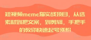 短视频meme猫实战项目,从选素材到把文案,到剪辑,手把手的教你快速起号涨粉-葛仙仙资源库