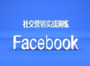 Facebook社交营销实战演练,外贸人绝对不能错过的营销推广平台-葛仙仙资源库