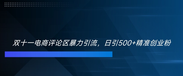 双十一电商评论区暴力引流，日引500+精准创业粉【揭秘】-葛仙仙资源库