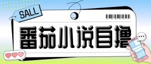 最新番茄小说自撸玩法,无需手机,无需双清,成本极低日入200+【揭秘】-葛仙仙资源库