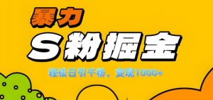单人单机日引千粉,变现1k+,S粉流量掘金计划攻略【揭秘】-葛仙仙资源库