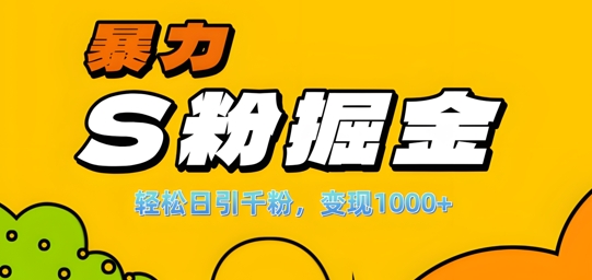 单人单机日引千粉，变现1k+，S粉流量掘金计划攻略【揭秘】-葛仙仙资源库