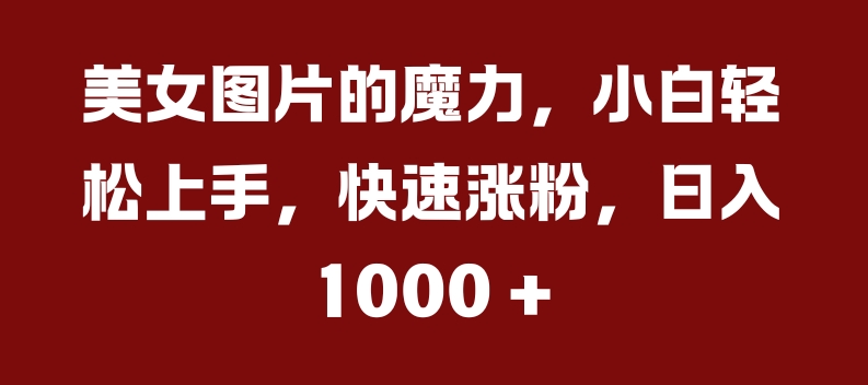 美女图片的魔力，小白轻松上手，快速涨粉，日入几张【揭秘】-葛仙仙资源库