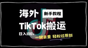 2024最新海外TikTok搬运玩法,一键去重轻松过原创,新手无经验也能日入1k【揭秘】-葛仙仙资源库