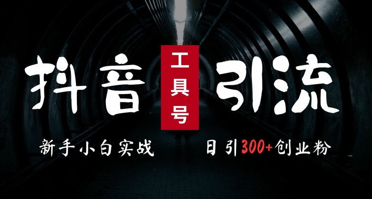 2024最新抖音工具号引流玩法，高效日引300+创业粉，当天变现5k，小白也可成为实战高手-葛仙仙资源库