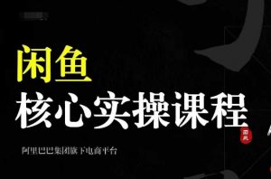 2024闲鱼核心实操课程,从养号、选品、发布、销售,教你做一个出单的闲鱼号-葛仙仙资源库