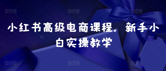 小红书高级电商课程，新手小白实操教学-葛仙仙资源库