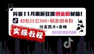 抖音11月最新狂揽创业粉秘籍,轻松日引300+精准创业粉,仅需图片+音频,轻松搞定创业类视频-葛仙仙资源库
