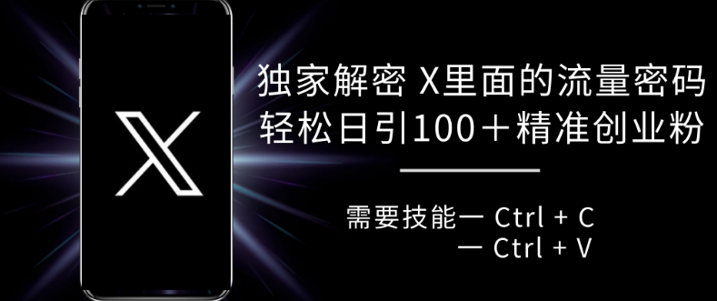 独家解密 X 里面的流量密码，复制粘贴轻松日引100+-葛仙仙资源库