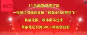 小红书11月最新图片打粉,一张图片引爆创业粉,“预算4980带我飞”,单条引流500+精准创业粉-葛仙仙资源库