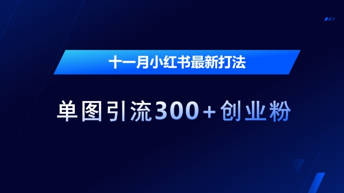 十一月小红书最新打法，单图引流300+创业粉【揭秘】-葛仙仙资源库