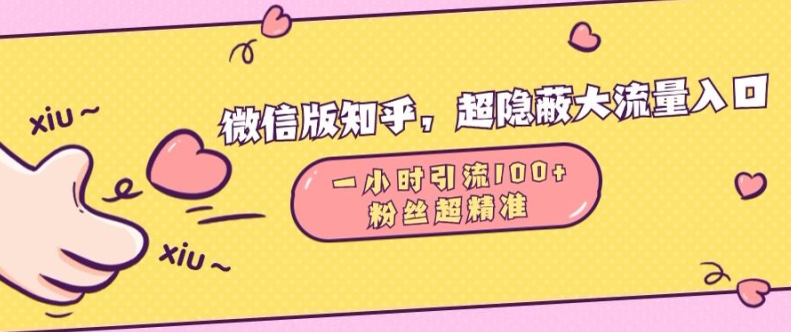 微信版知乎，超隐蔽流量入口1小时引流100人，粉丝质量超高【揭秘】-葛仙仙资源库