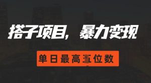 2024搭子玩法,0门槛,暴力变现,单日最高破四位数【揭秘】-葛仙仙资源库