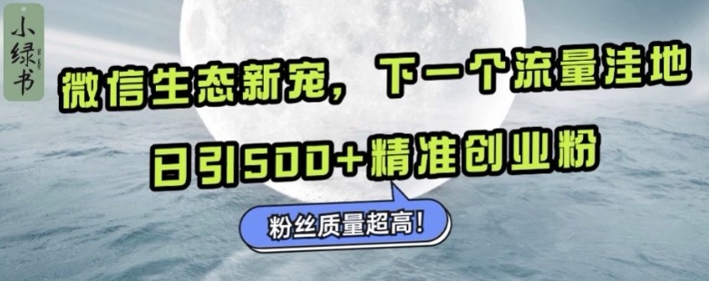 微信生态新宠小绿书：下一个流量洼地，日引500+精准创业粉，粉丝质量超高-葛仙仙资源库