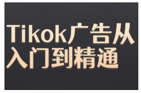 Tiktok Ads实操教程，Tiktok广告从入门到精通-葛仙仙资源库