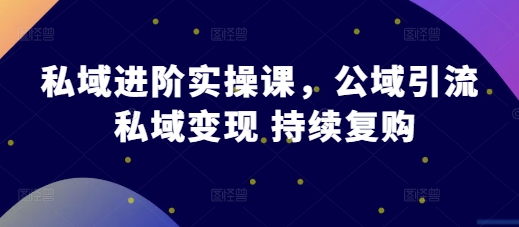 私域进阶实操课，公域引流 私域变现 持续复购-葛仙仙资源库