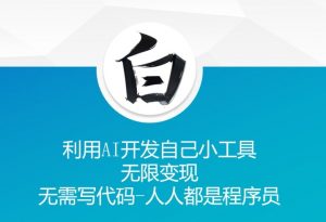 利用AI开发自己小工具 无限变现 无需写代码 人人都是程序员-葛仙仙资源库
