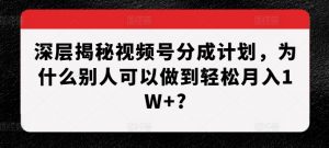 深层揭秘视频号分成计划,为什么别人可以做到轻松月入1W+?-葛仙仙资源库