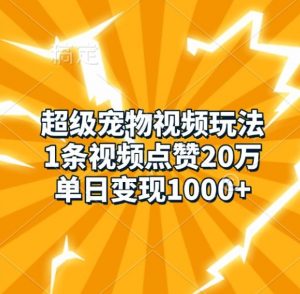 超级宠物视频玩法，1条视频点赞20万，单日变现1k-葛仙仙资源库