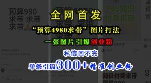 小红书“预算4980带我飞”图片打法,一张图片引爆创业粉,私信回不完,单条引流300+精准创业粉-葛仙仙资源库