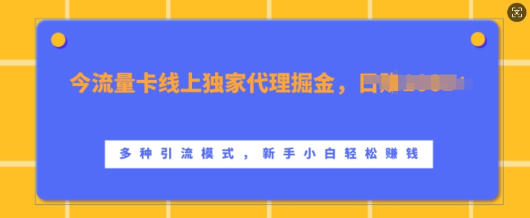 流量卡线上独家代理掘金，日入1k+ ，多种引流模式，新手小白轻松上手【揭秘】-葛仙仙资源库