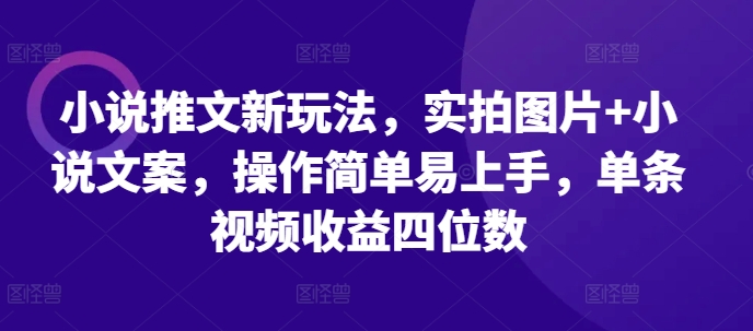 小说推文新玩法，实拍图片+小说文案，操作简单易上手，单条视频收益四位数-葛仙仙资源库