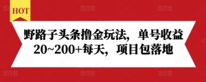 野路子头条撸金玩法，单号收益20~200+每天，项目包落地-葛仙仙资源库