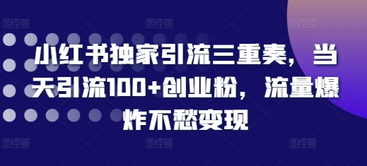 小红书独家引流三重奏，当天引流100+创业粉，流量爆炸不愁变现【揭秘】-葛仙仙资源库