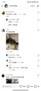 小红书私人定制图项目,附赠一单4W渠道【揭秘】-葛仙仙资源库