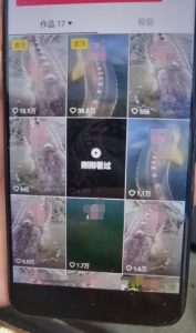 外面卖399的国学佛像原创暴力起号技术,快速起号,7天可达到一个万粉号-葛仙仙资源库