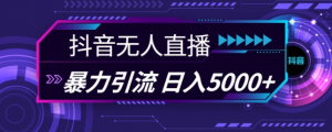 抖音快手视频号全平台通用无人直播引流法,利用图片模板和语音话术,暴力日引流100+创业粉【揭秘】-葛仙仙资源库