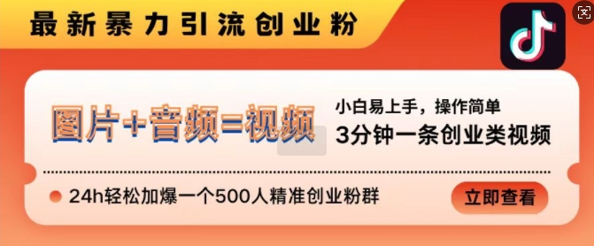 抖音最新暴力引流创业粉，3分钟一条创业类视频，24h轻松加爆一个500人精准创业粉群【揭秘】-葛仙仙资源库